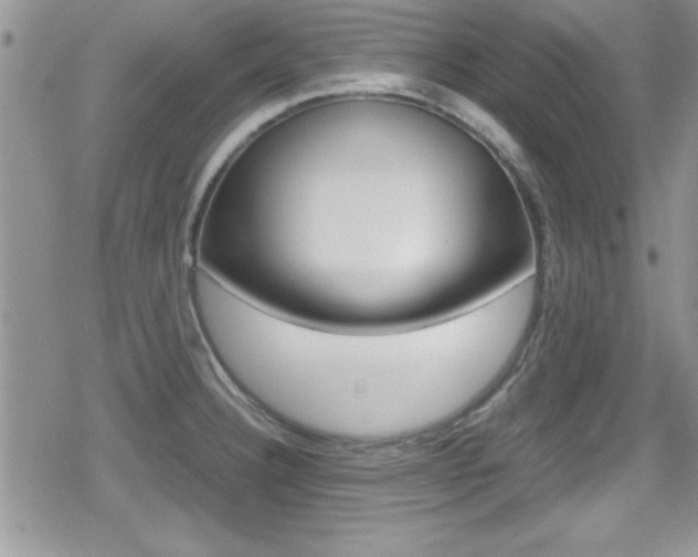 X0000080811332200612151048