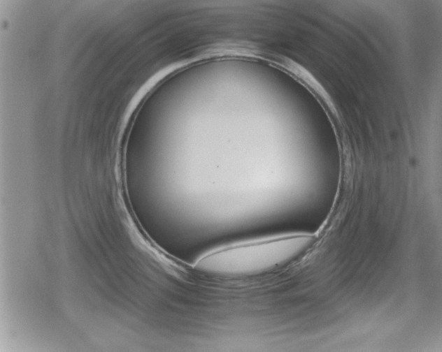 X0000080811339200612151048