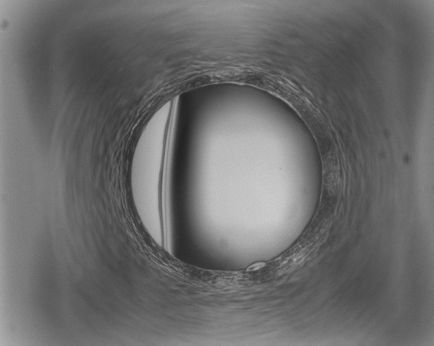 X0000080811345200612151047