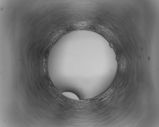 X0000080811346200612151047