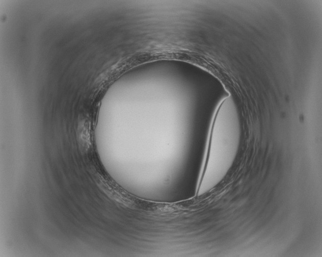 X0000080811348200612151047