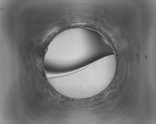 X0000080811351200612151047