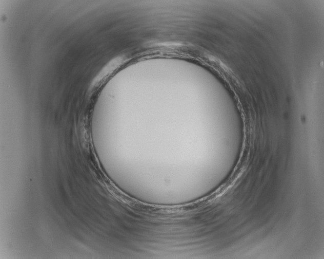 X0000080811354200612151047
