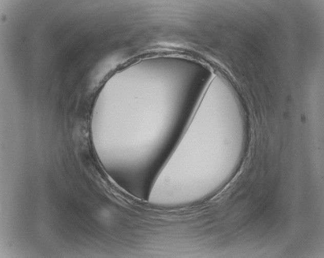 X0000080811355200612151047