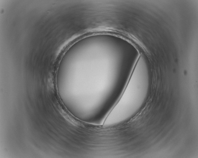 X0000080811356200612151047