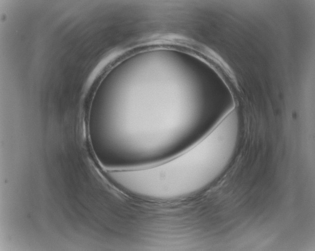 X0000080811368200612151047