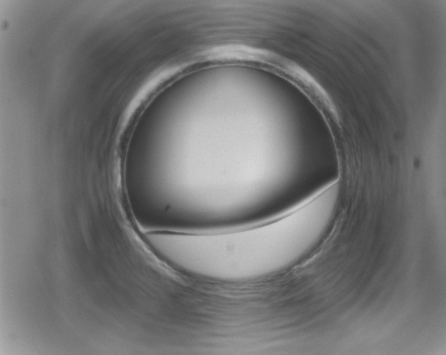 X0000080811376200612151047