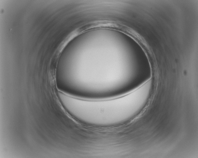 X0000080811377200612151047