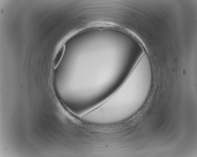 X0000080811379200612151047
