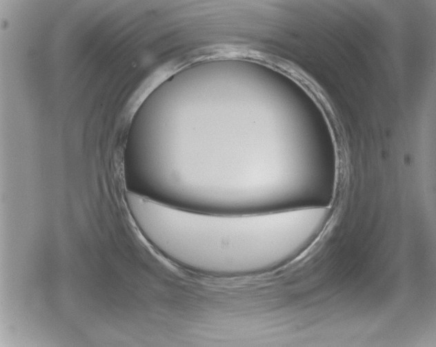 X0000080811385200612151047
