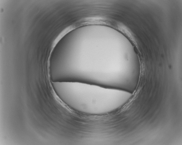X0000080811386200612151047