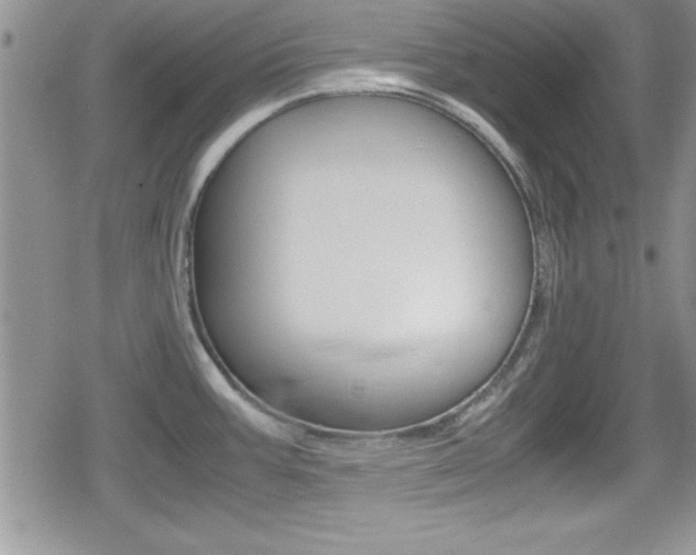X0000080811387200612151047
