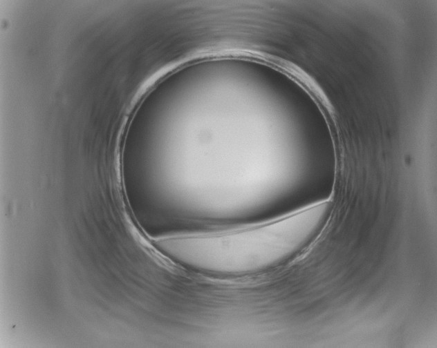 X0000080811388200612151047