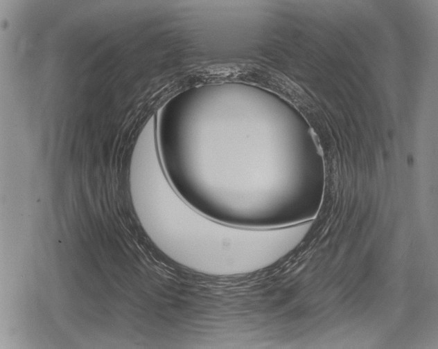 X0000080811394200612151046