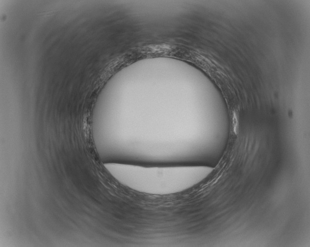 X0000080811395200612151046
