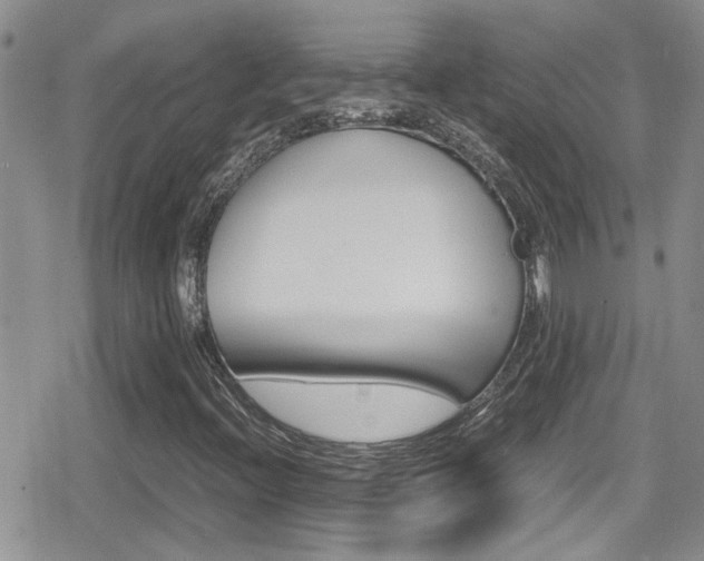 X0000080811396200612151046