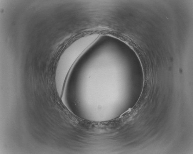 X0000080811398200612151046