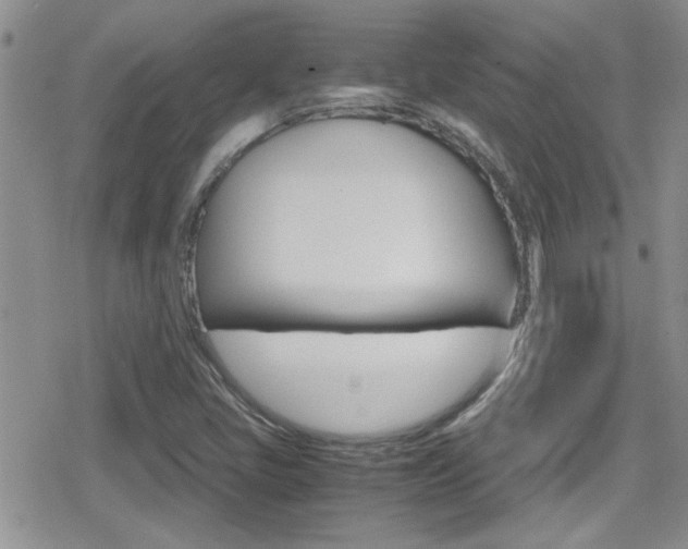 X0000080811405200612151046