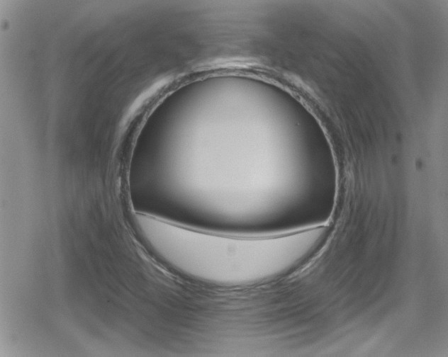 X0000080811406200612151046