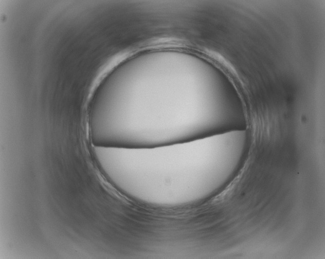 X0000080811413200612151046