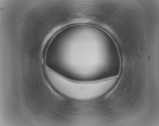 X0000080811414200612151046