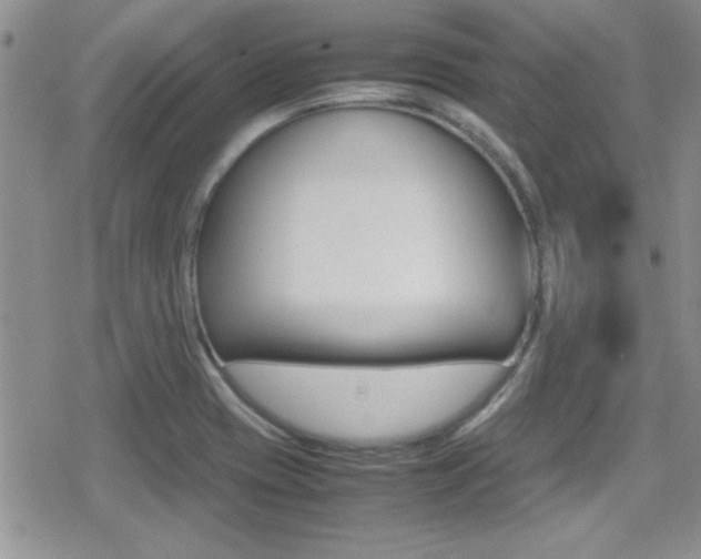 X0000080811417200612151046