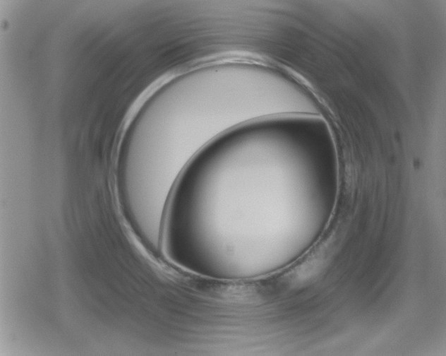 X0000080811418200612151046