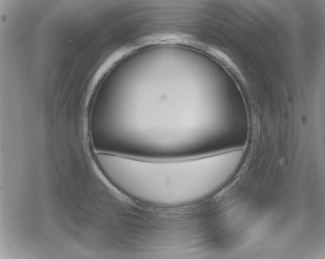 X0000080811424200612151046