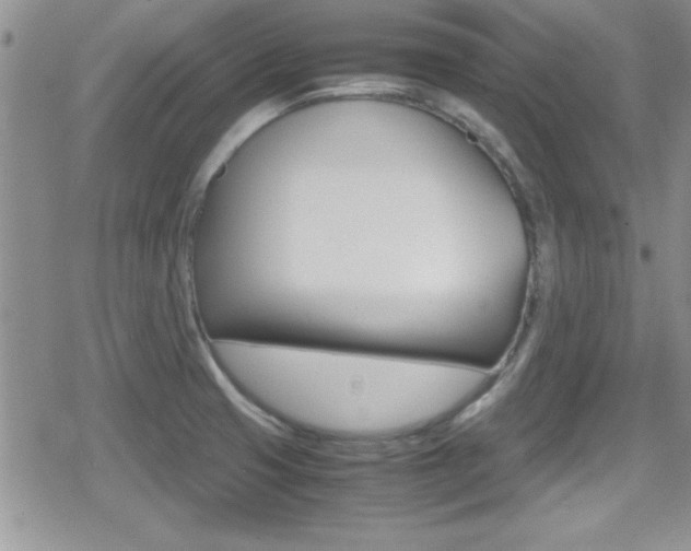 X0000080811425200612151046
