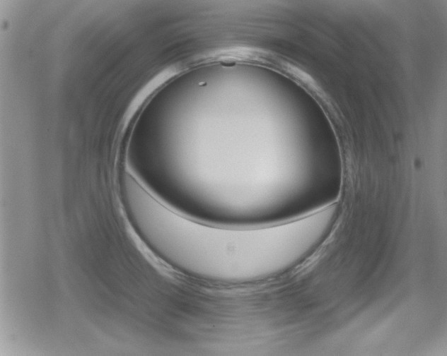 X0000080811426200612151046