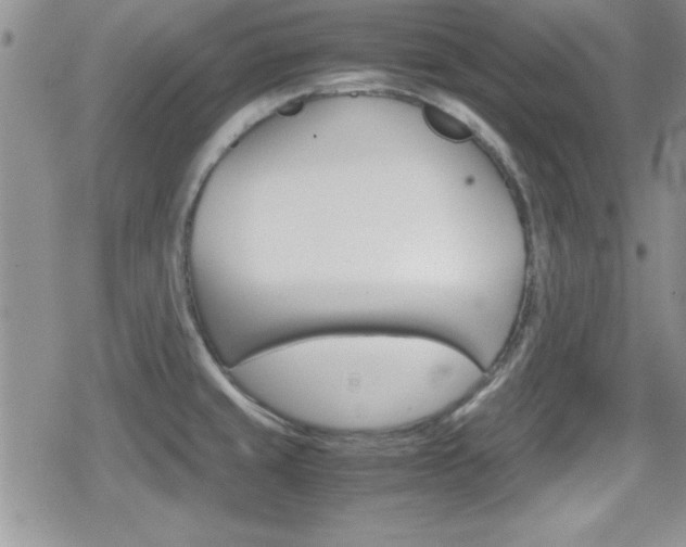 X0000080811429200612151046