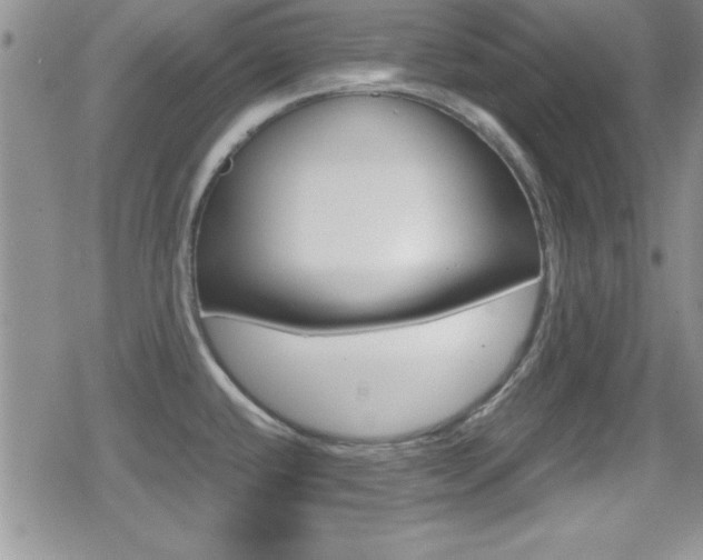X0000080811432200612151046