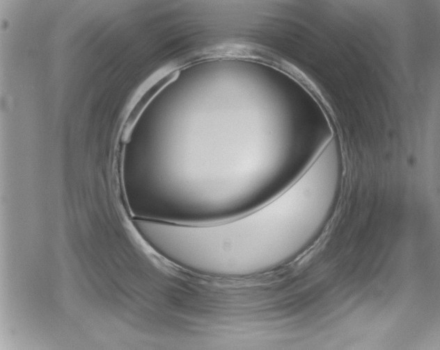 X0000080811434200612151046
