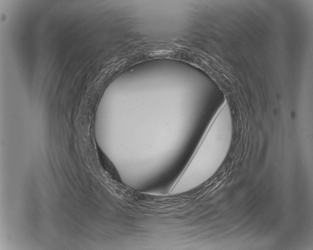X0000080811441200612151046