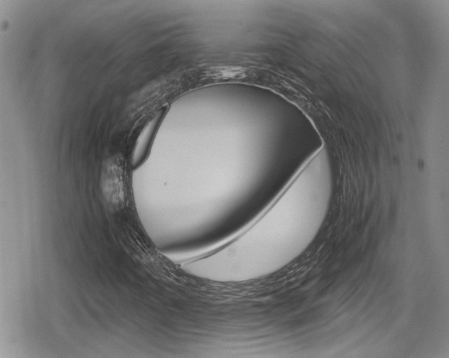 X0000080811442200612151046