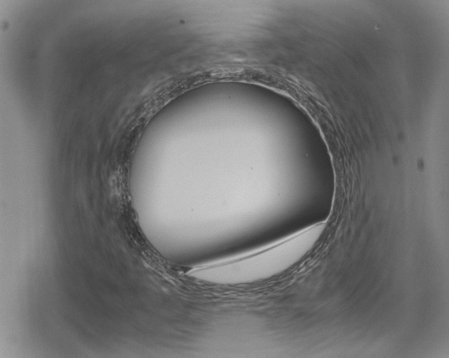 X0000080811445200612151046