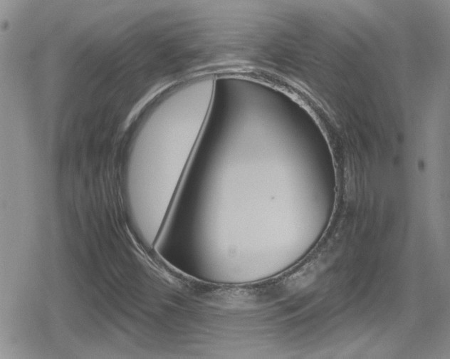 X0000080811450200612151046
