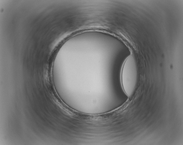 X0000080811452200612151046