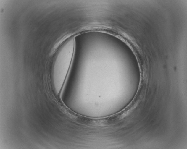 X0000080811453200612151046