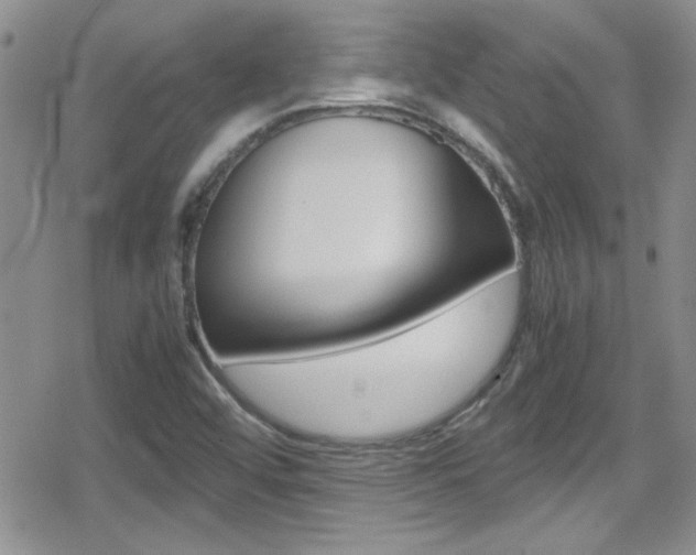 X0000080811456200612151045