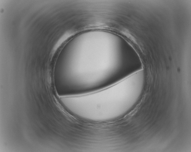 X0000080811458200612151045