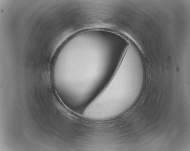 X0000080811460200612151045