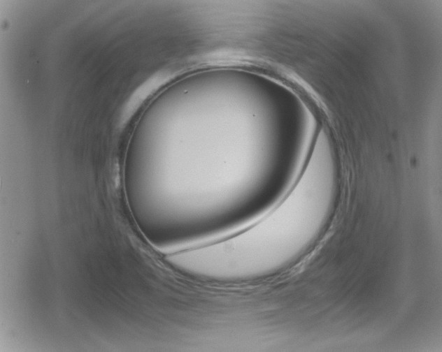 X0000080811461200612151045