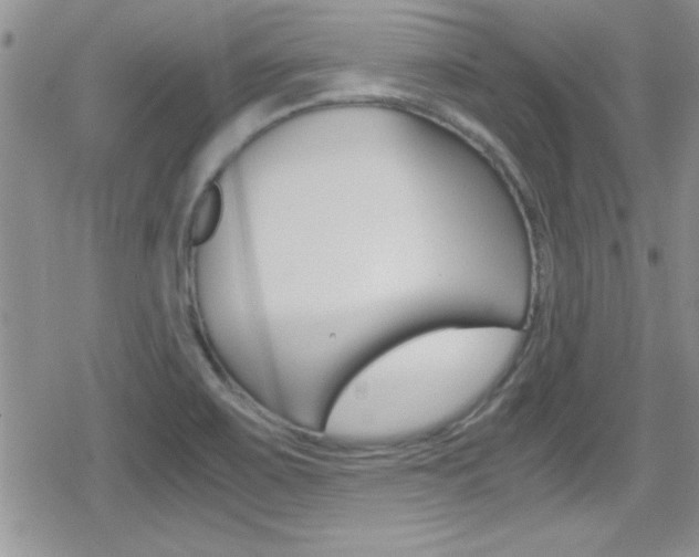 X0000080811467200612151045