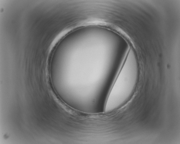 X0000080811469200612151045