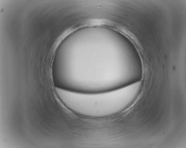 X0000080811473200612151045