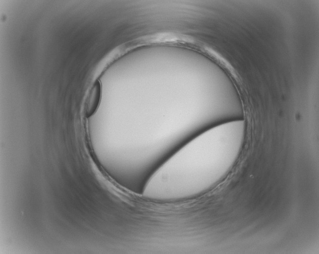 X0000080811475200612151045