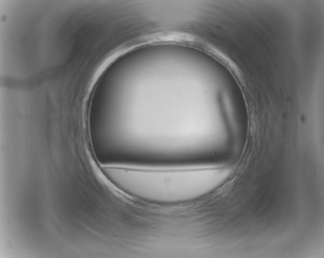 X0000080811483200612151045