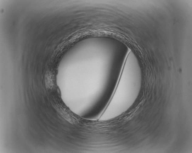 X0000080811490200612151044