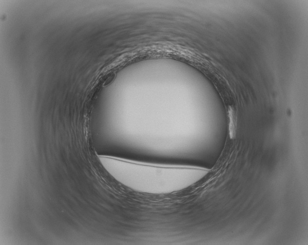 X0000080811491200612151044